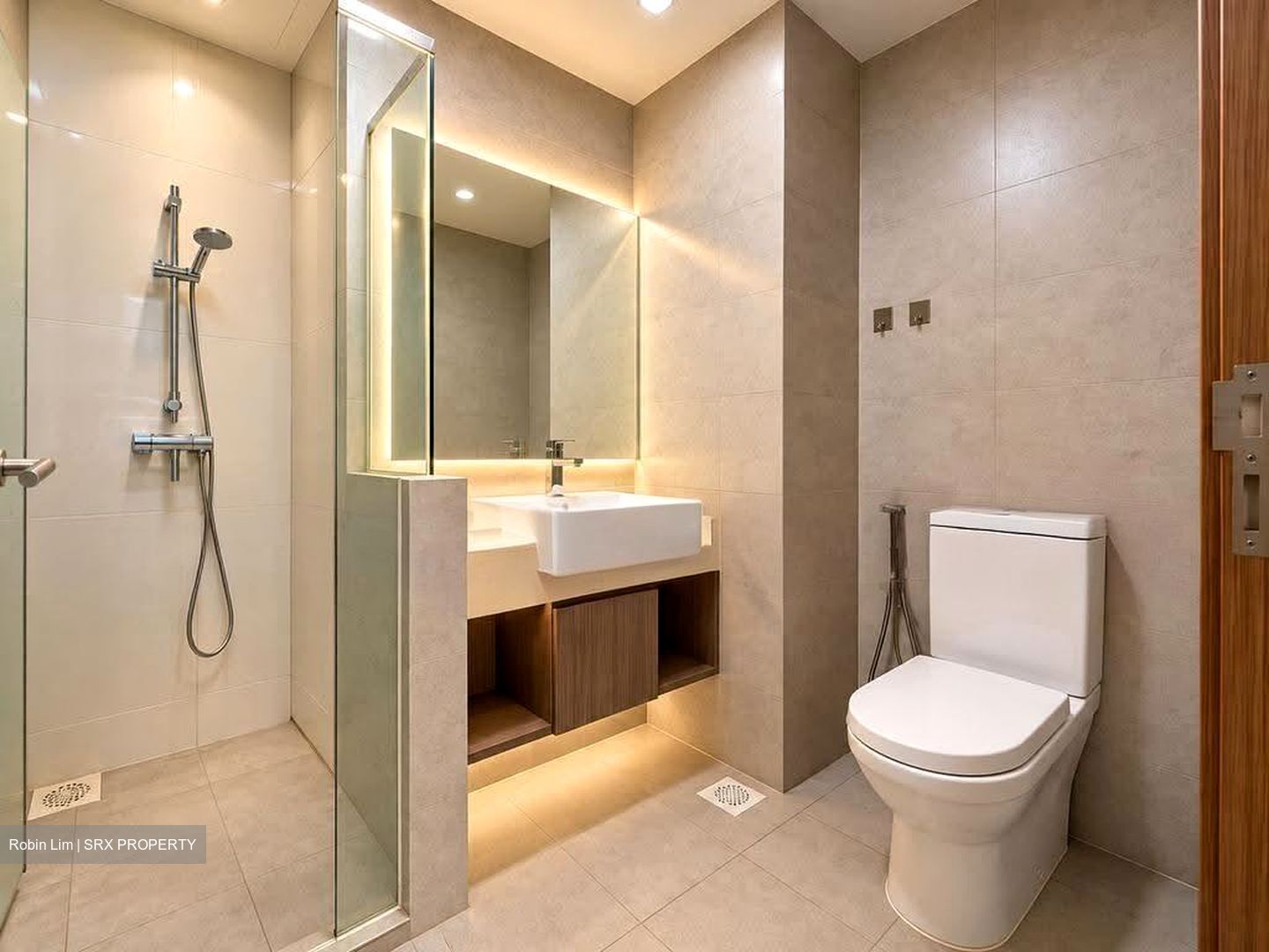 Blossom Residences (D23), Condominium #635447491